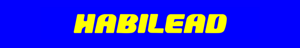 HABILEAD en Zona Llantas HABILEAD en Zona Llantas