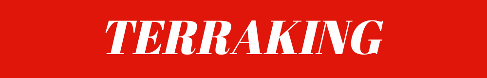 TERRAKING en Zona Llantas